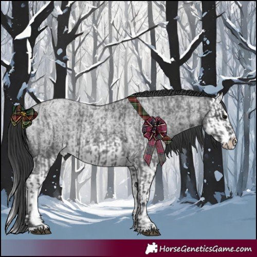 Horse Color:Blue Roan and Blue Roan Splash