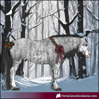Horse Color:Blue Roan and Blue Roan Splash