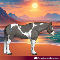 Horse Color:Grullo Splash Tobiano