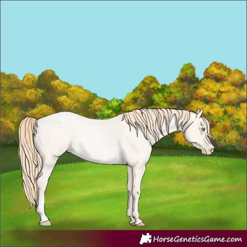 Horse Color:Buckskin Roan Pearl  and Buckskin Roan Pearl Rabicano 