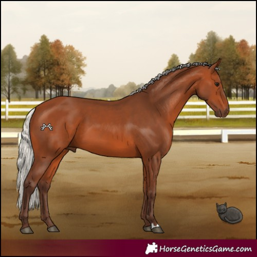 Horse Color:Silver Bay 