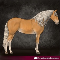 Horse Color:Palomino 