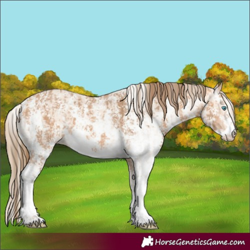 Horse Color:Perlino Sabino and Gray Perlino Sabino