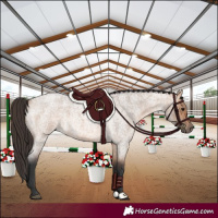 Horse Color:Bay Roan Dun