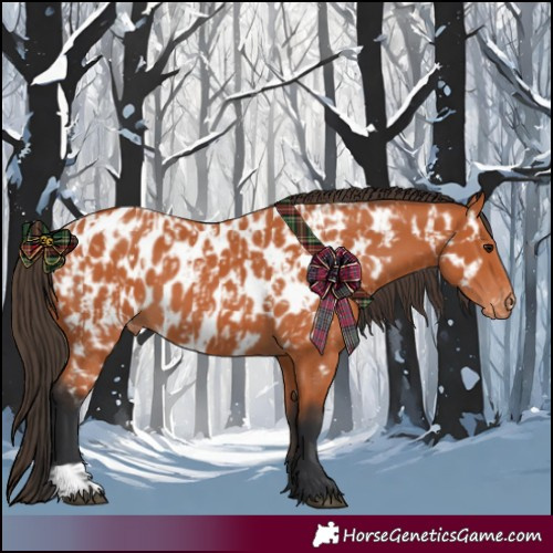 Horse Color:Bay Near Leopard and Bay Near Leopard