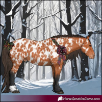 Horse Color:Bay Near Leopard  and Bay Near Leopard 