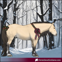 Horse Color:Buckskin Dun  and Buckskin Dun Rabicano 