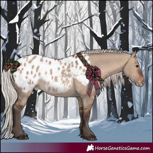 Horse Color:Silver Brown Dun Appaloosa 