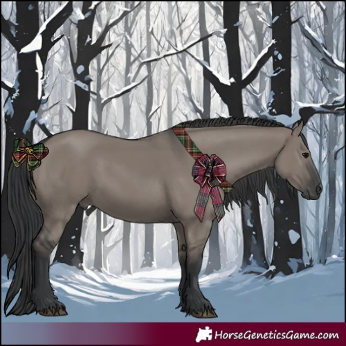 Horse Color:Grullo Rabicano 