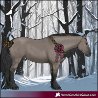 Horse Color:Grullo Rabicano 