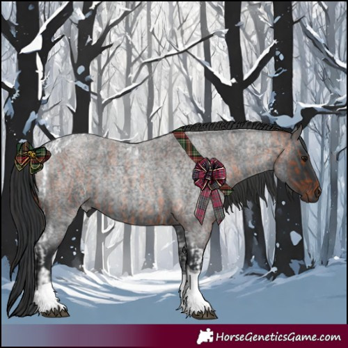 Horse Color:Bay Roan Tobiano and Blue Roan Tobiano