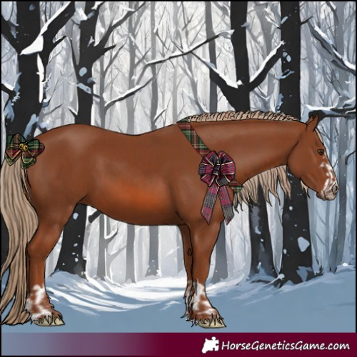 Horse Color:Chestnut  and Chestnut 