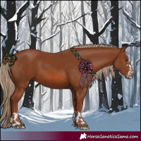 Horse Color:Chestnut  and Chestnut 