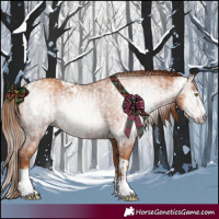 Horse Color:Gray Gold Champagne Tobiano  and Gray Gold Champagne Splash Tobiano 