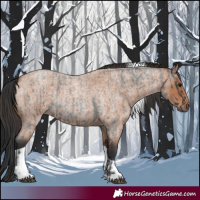 Horse Color:Blue Roan Tobiano  and Bay Roan Tobiano 