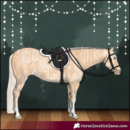 Horse Color:Cremello Dun Tobiano and Gray Cremello Dun Tobiano