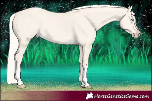 Horse Color:Cremello Dun Tobiano 