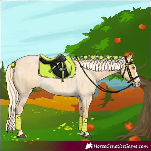 Horse Color:Palomino Roan Splash 