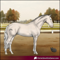 Horse Color:Cremello 