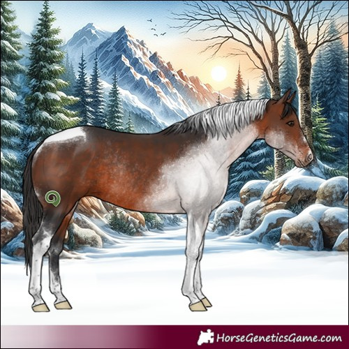 Horse Color:Bay Tobiano Rabicano