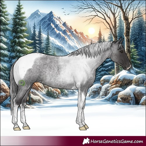 Horse Color:Smoky Blue Roan Tobiano Rabicano