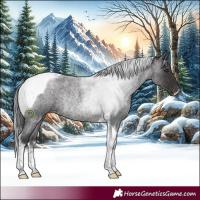 Horse Color:Smoky Blue Roan Tobiano Rabicano