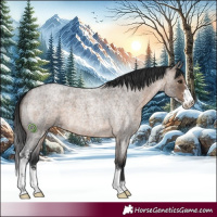 Horse Color:Brown Roan Dun Sabino