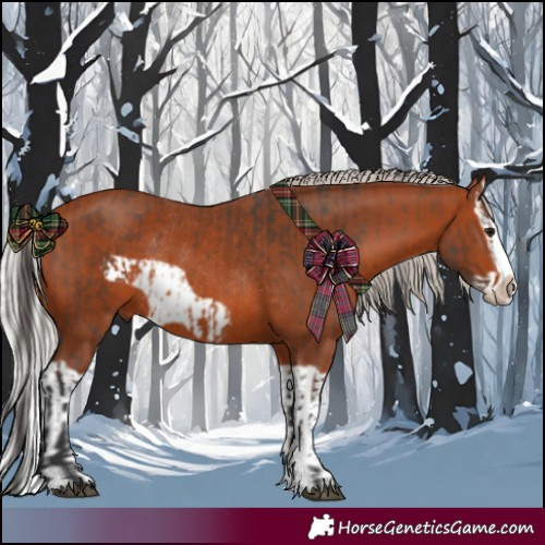 Horse Color:Bay Splash Frame Rabicano and Silver Bay Splash Frame Rabicano