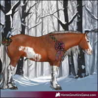 Horse Color:Bay Splash Frame Rabicano  and Silver Bay Splash Frame Rabicano 
