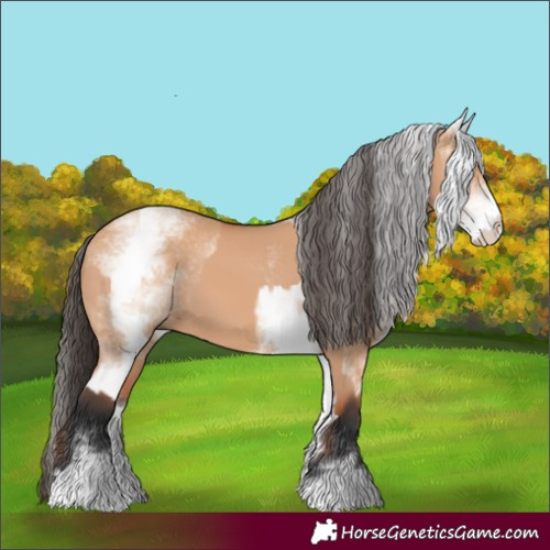 Horse Color:White Spotted Bay Dun Rabicano  and White Spotted Bay Dun Rabicano 
