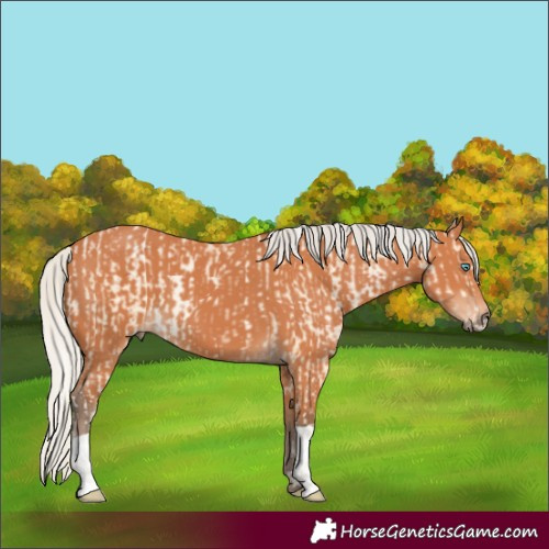 Horse Color:Silver Buckskin Pearl and Silver Bay