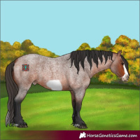 Horse Color:Bay Roan Splash Frame Rabicano