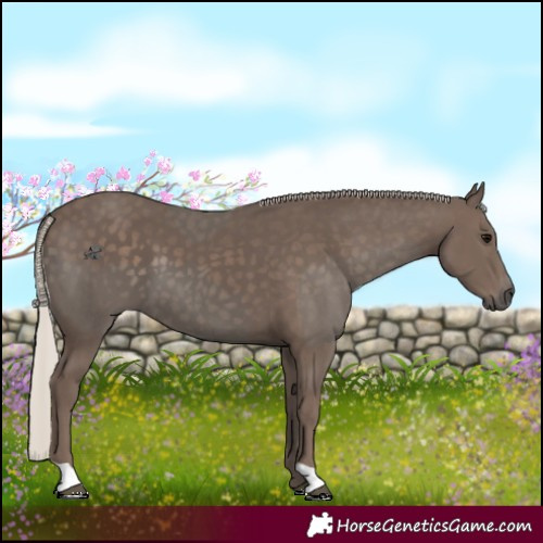 Horse Color:Silver Black and Silver Black