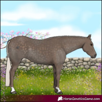 Horse Color:Silver Black  and Silver Black 