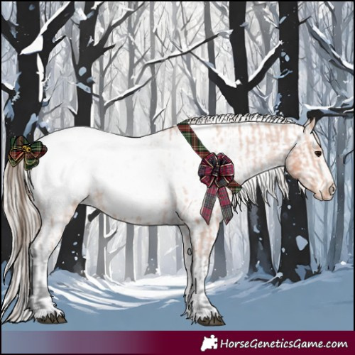 Horse Color:Bay Tobiano Appaloosa  and Silver Bay Tobiano Appaloosa 