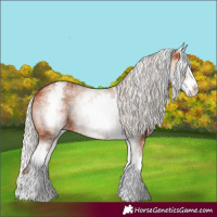 Horse Color:White Spotted Silver Bay Splash 