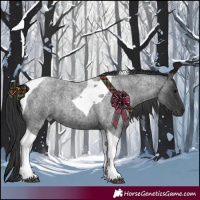 Horse Color:Blue Roan Tobiano 
