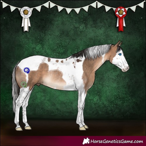 Horse Color:Brown Dun Splash Tobiano Rabicano 
