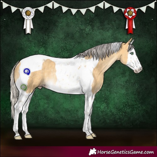 Horse Color:Silver Amber Cream Champagne Dun Splash Tobiano Rabicano 