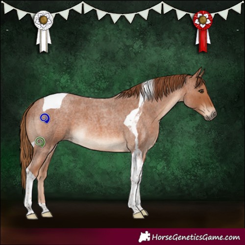 Horse Color:Red Roan Tobiano 