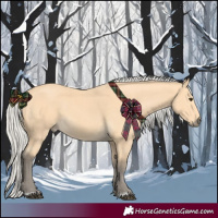 Horse Color:Silver Buckskin  and Silver Buckskin Rabicano 