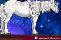 Horse Color:White Spotted Silver Brown Pearl Splash Appaloosa Rabicano