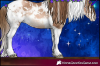 Horse Color:White Spotted Liver Chestnut Pearl Tobiano Rabicano