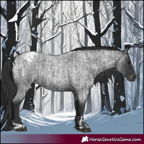 Horse Color:Blue Roan  and Blue Roan Varnish 