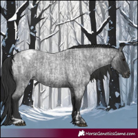 Horse Color:Blue Roan  and Blue Roan Varnish 