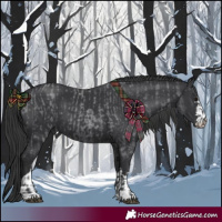 Horse Color:Blue Roan  and Black 