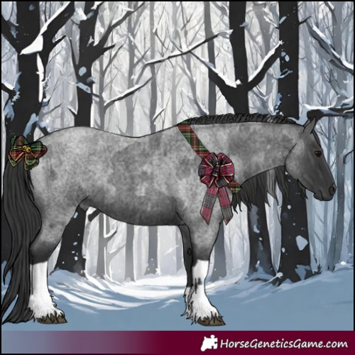 Horse Color:Blue Roan  and Blue Roan Tobiano 