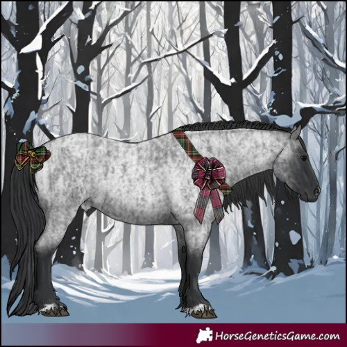 Horse Color:Blue Roan  and Blue Roan 