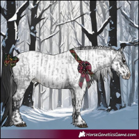 Horse Color:Blue Roan  and White Spotted Blue Roan 