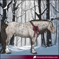 Horse Color:Blue Roan  and Classic Champagne Roan 